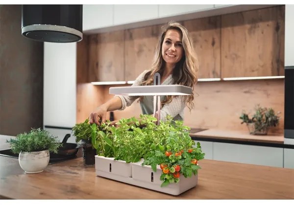 Ledvance - GARDEN KIT LED/24W/230V beltéri növénylámpa