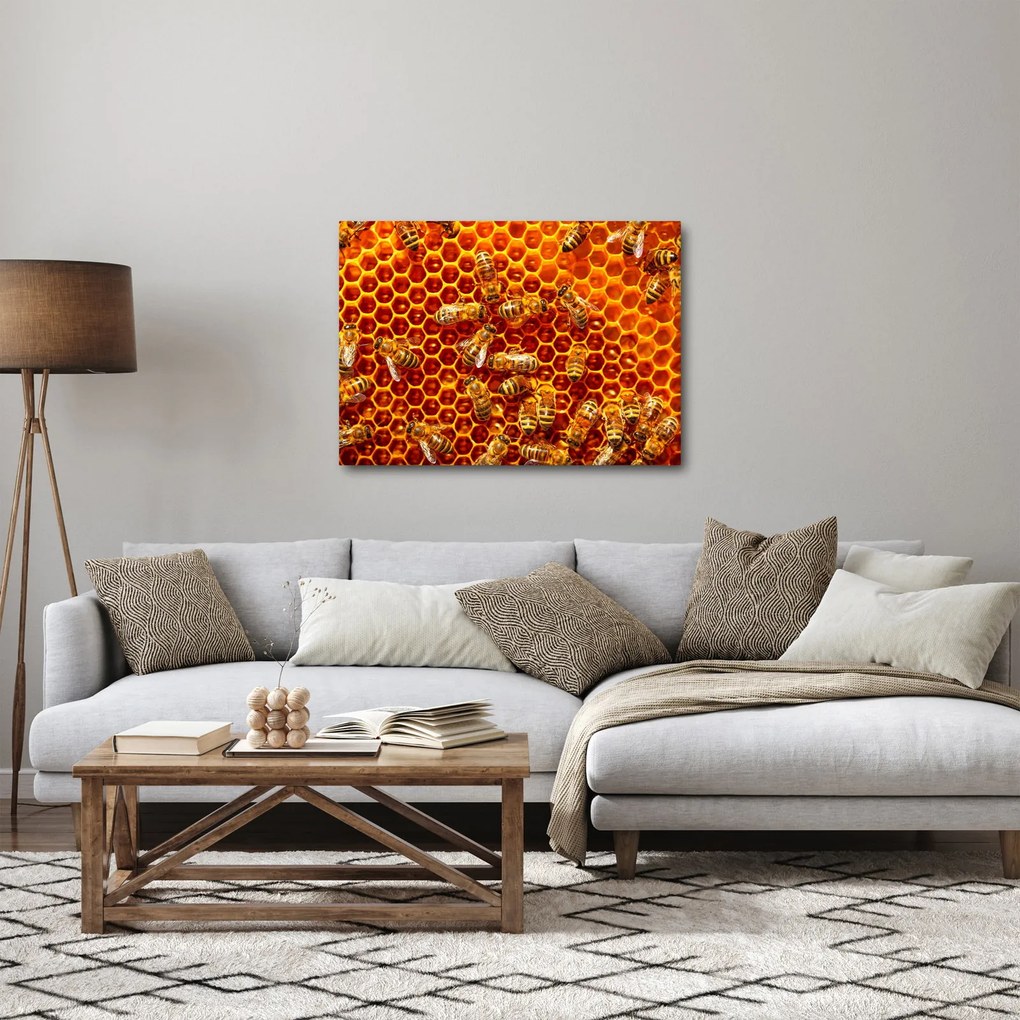 Kép - Méhsejtes (70x50 cm)