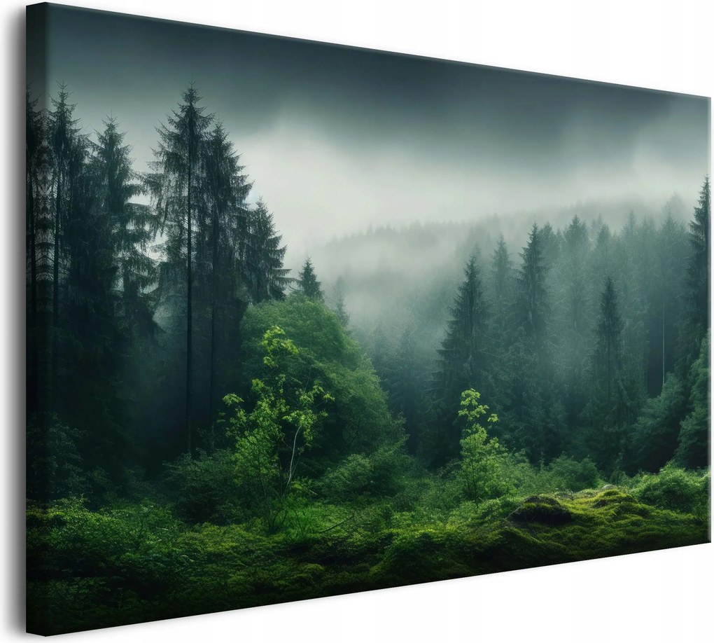 Fali dekoráció a nappaliba Vászonkép Erdei táj a ködben 80x120