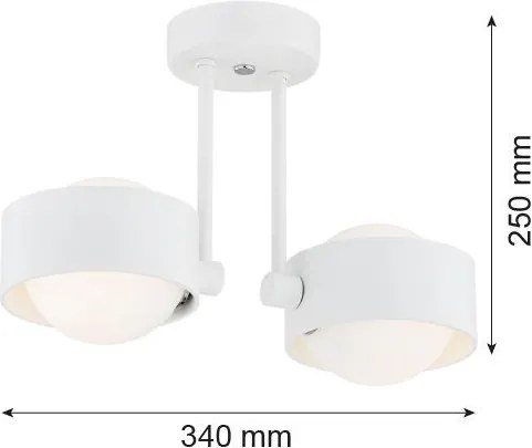 ARGON 7088 MASSIMO PLUS Modern Mennyezeti Lámpa Fehér, Opál Szőnyeg G9 IP44