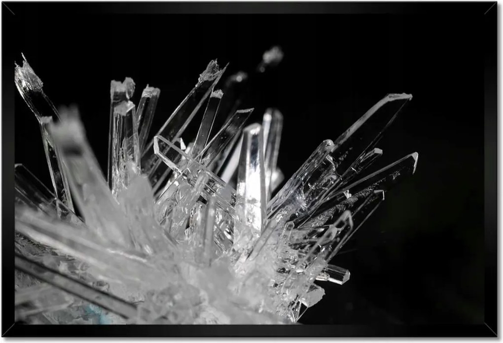 Poszterek keretben 60x40 Makrofotó MacroFoto