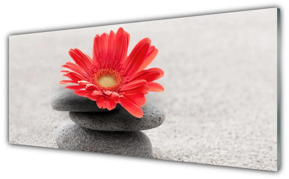 Akrilkép gerbera virág 125x50 cm