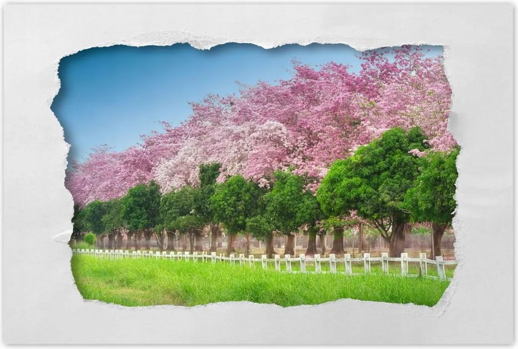 Poszterek 60x40 Cseresznyés tájkép