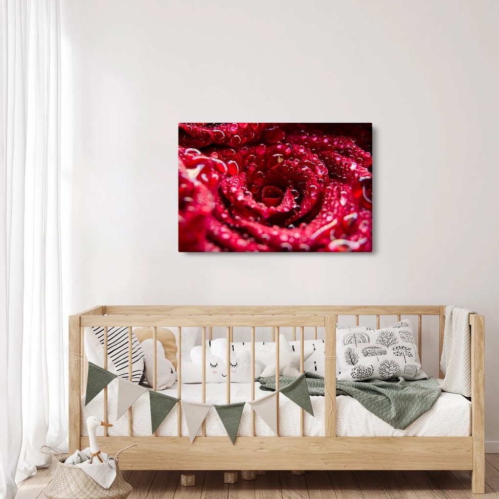 Vörös rózsa virágzata képe (90x60 cm)