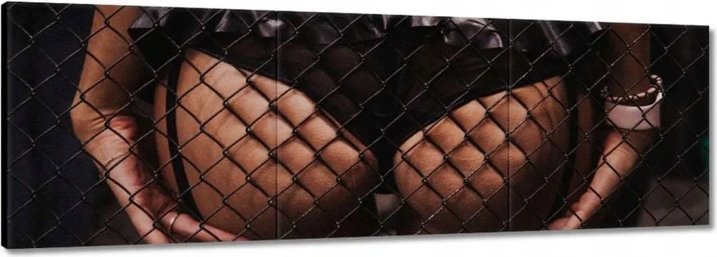 Vászonkép 120x40 Formás popsi a rács mögött