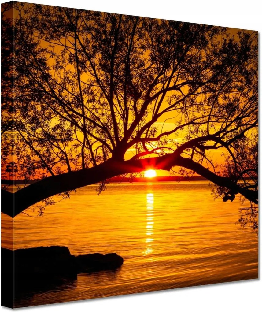 Vászonkép 60x60 Tengerpart Fa Tenger