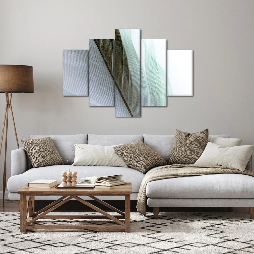 Kép - Tollak, makro (150x105 cm)