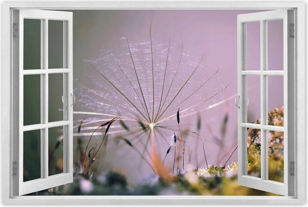 Poszterek 60x40 Pitypang pitypang