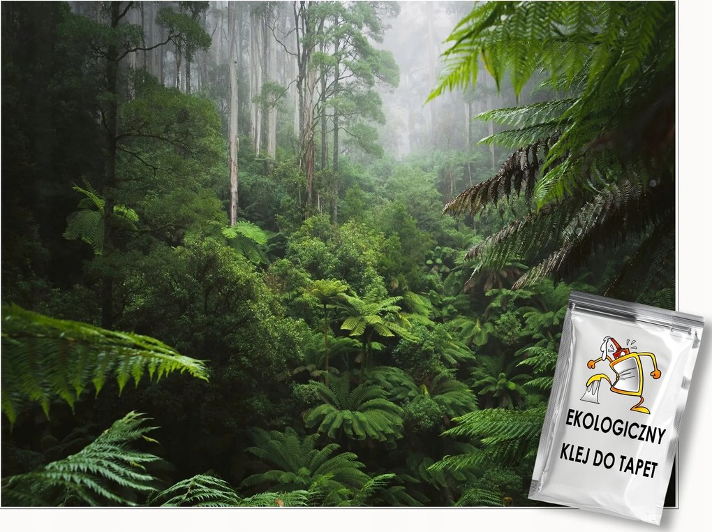 Fotótapéta Trópusi Erdő Dzsungel Levelek A Hálószoba Nappaliba Tapéta 250x175