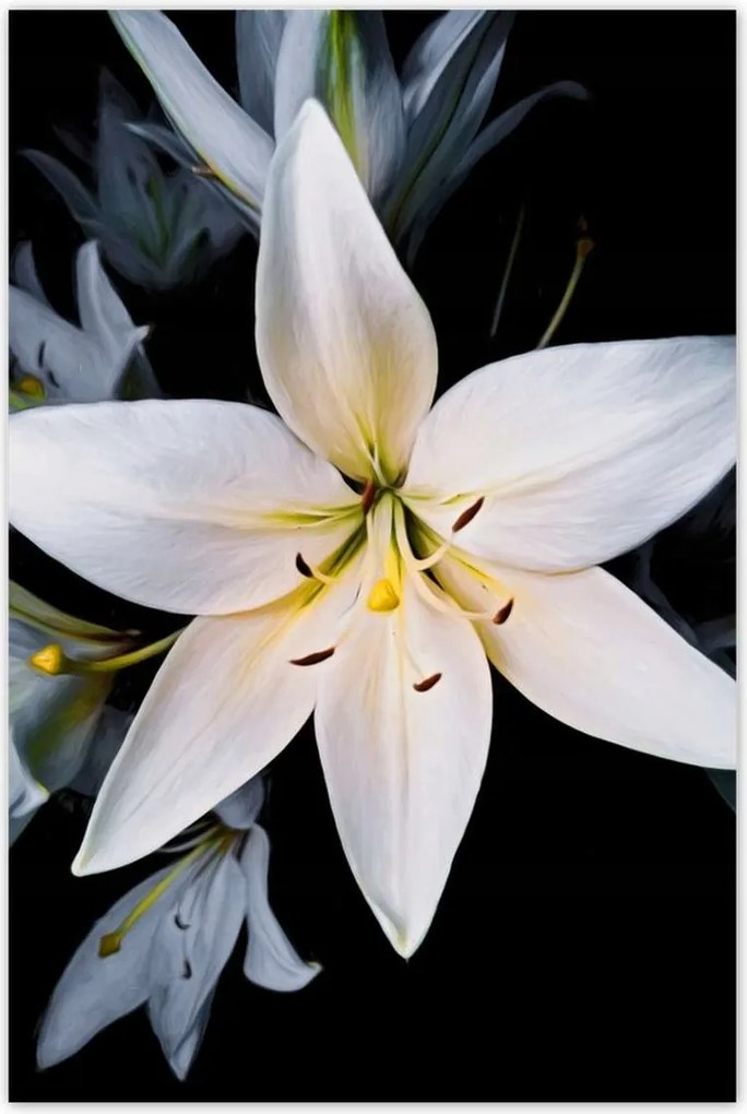 Poszterek 80x120 Fehér liliom csokor Virág