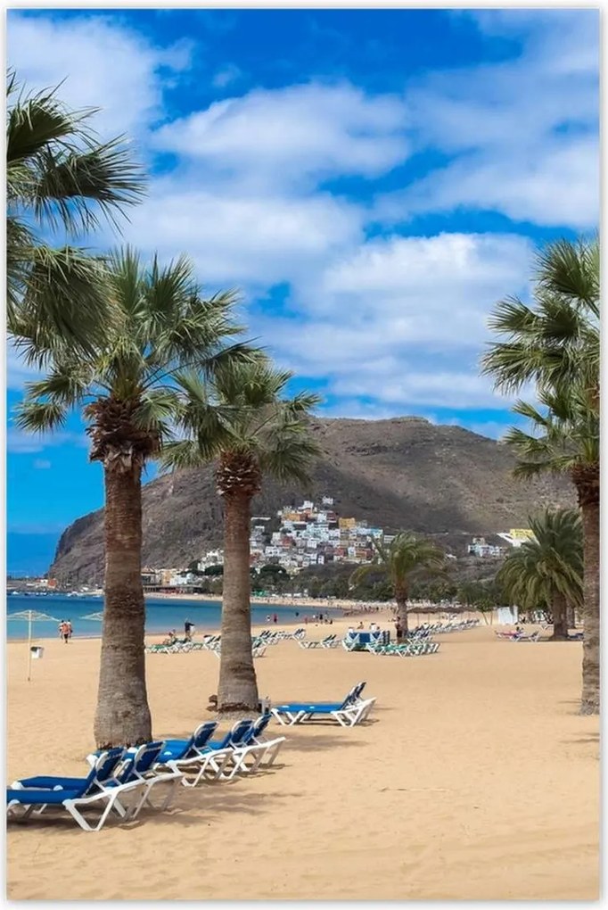 Poszterek 80x120 Nagy pálmafák a tengerparton