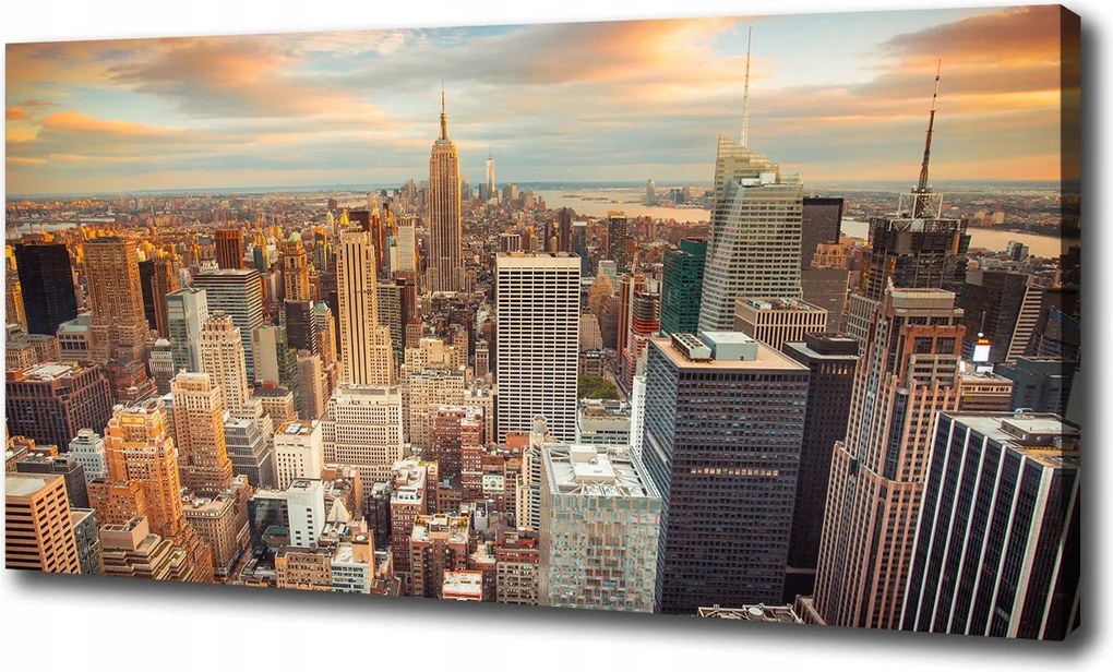 Vászonkép New York madár repülés 100x70cm