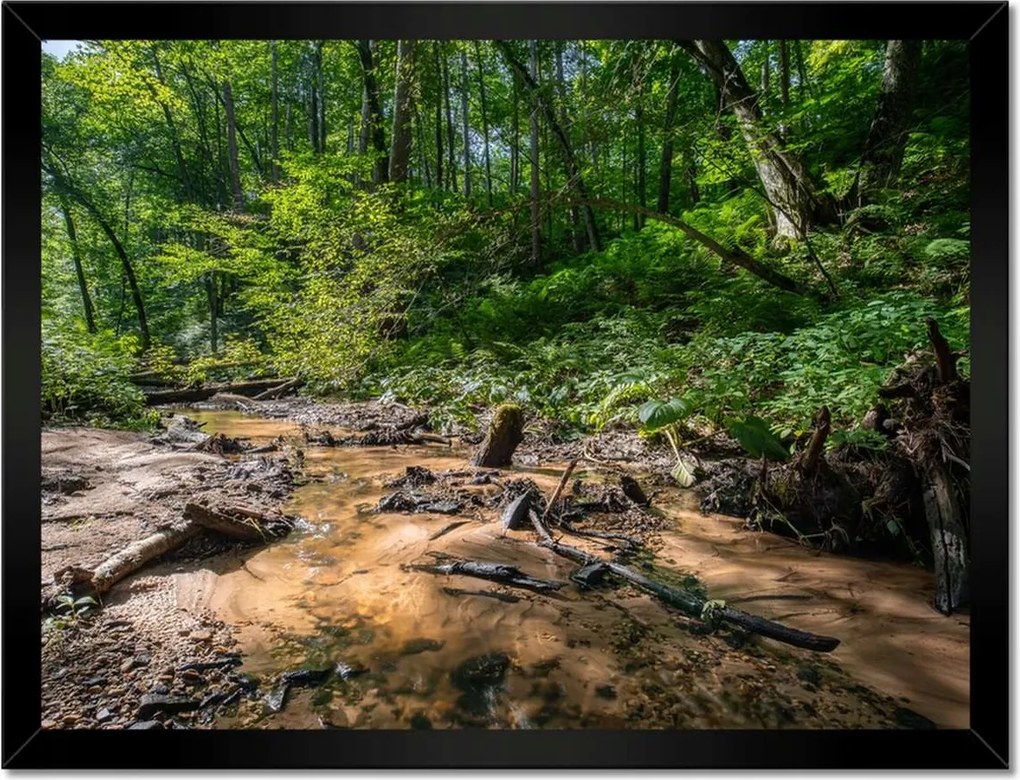 Poszterek keretben 40x30 Folyó Trópusi erdő