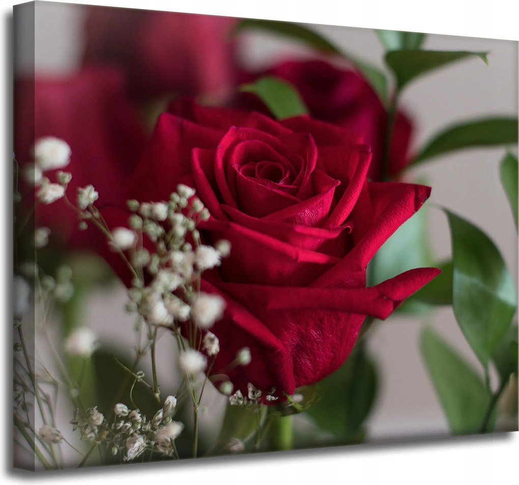 Botanika Vászonkép Vörös rózsák 50x40 cm
