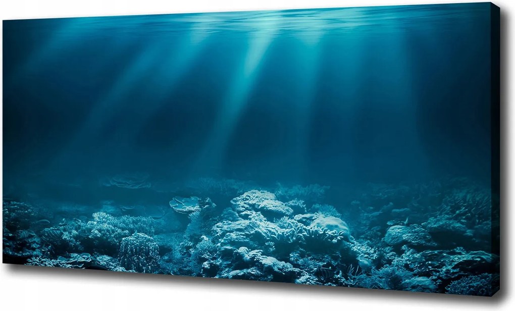 Vászonkép Víz alatti világ 100x70 cm