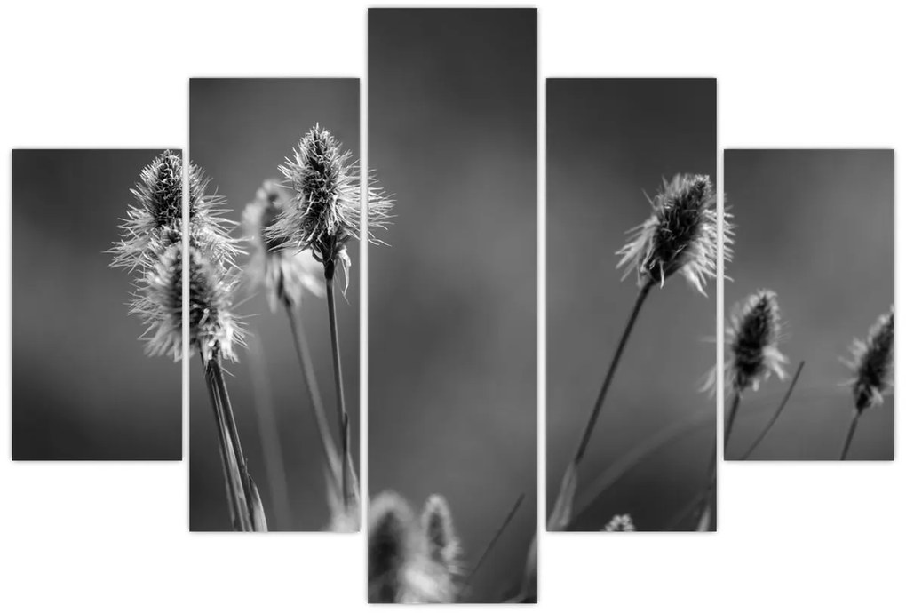 Kép - Bézs színű puha fű N⁰2 (150x105 cm)