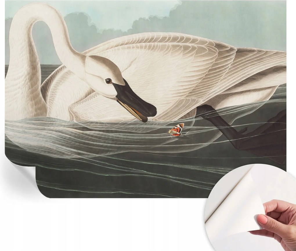 Öntapadós tapéta Divatos 3D fali ragasztóval A természet harmóniája 208x146 cm