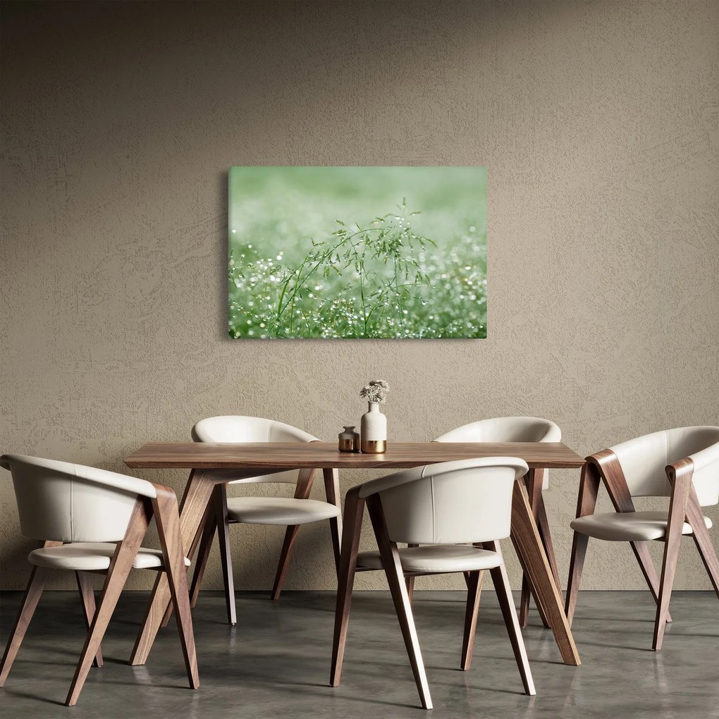 Kép - Harmat a fűben (90x60 cm)