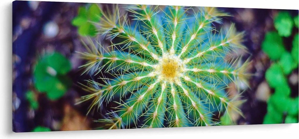 Kaktusz kép (120x50 cm)