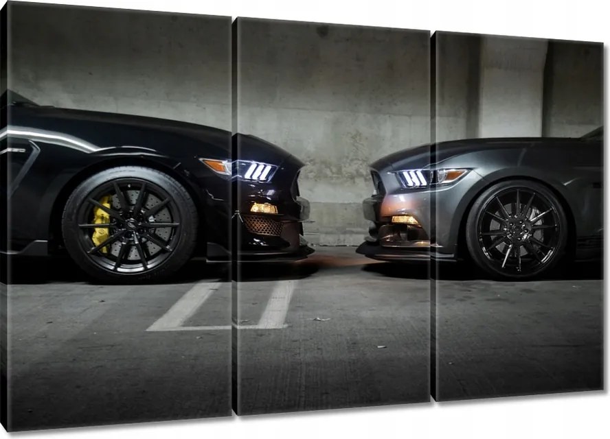 Vászonkép 120x80 Face to face Mustang