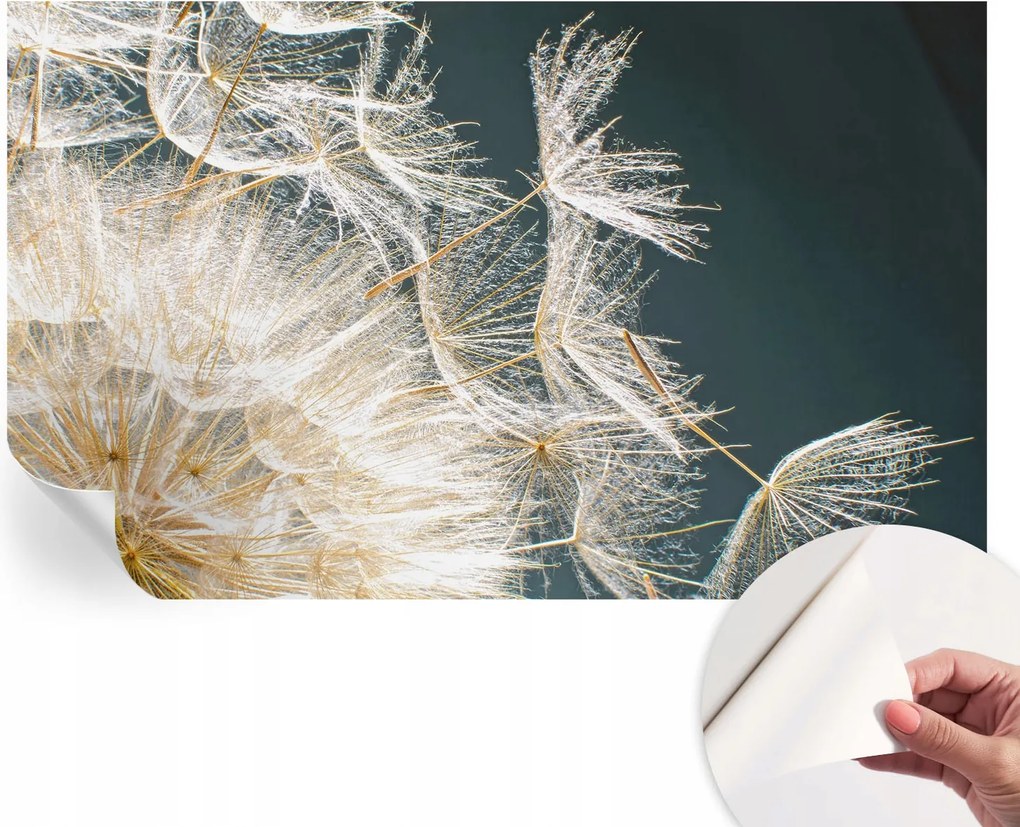 Öntapadós tapéta Fali furnér 3D Pitypang könnyedség 416x254 cm