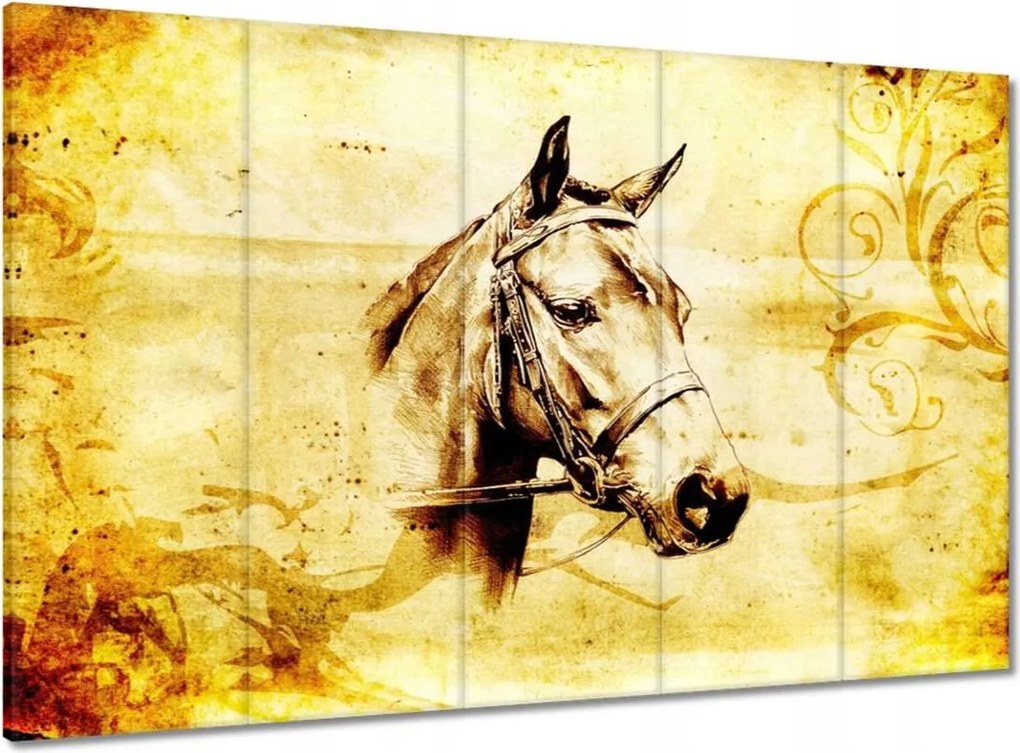 Vászonkép 100x70 Lófej