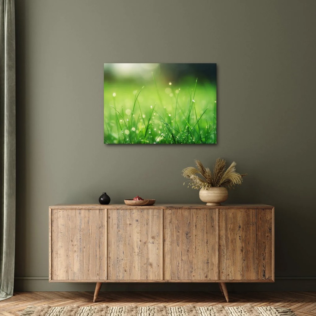 Kép - harmatos fű (70x50 cm)