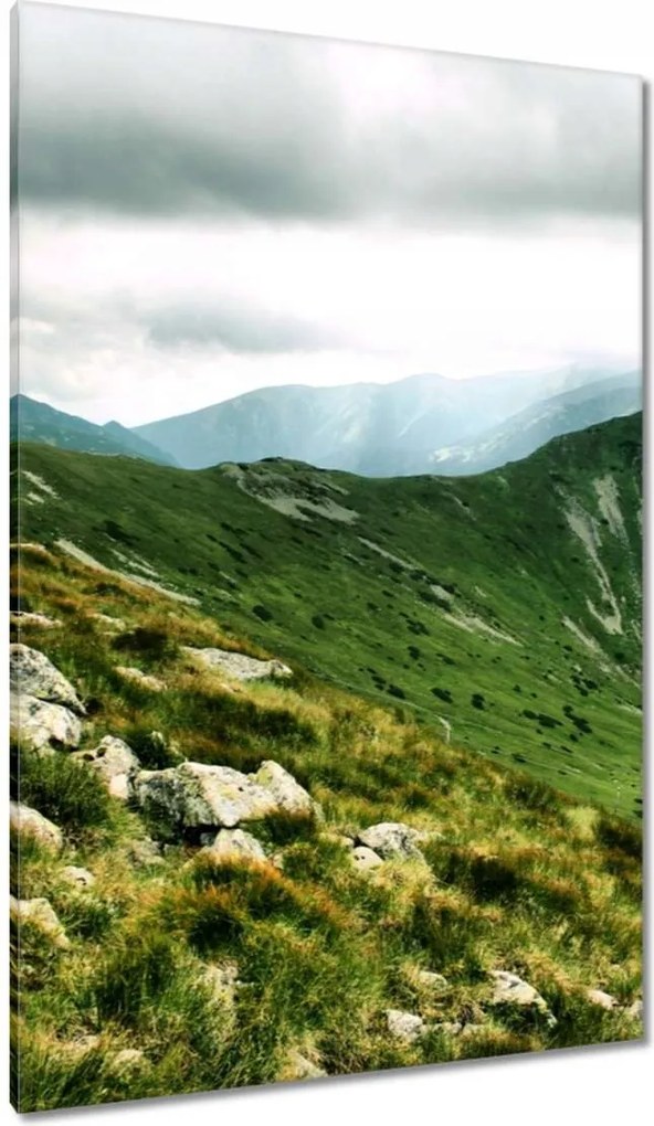 Festmények 80x120 Tátra csúcs