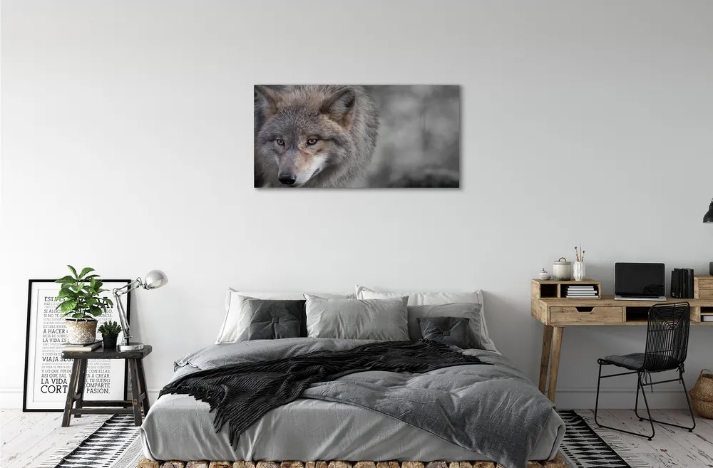 Canvas képek Farkas 125x50 cm