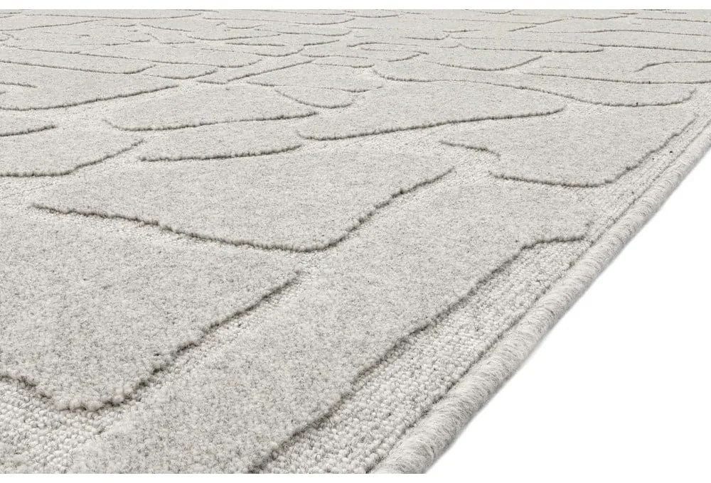 Világosszürke gyapjú szőnyeg 200x300 cm Morphic Dunes – Agnella