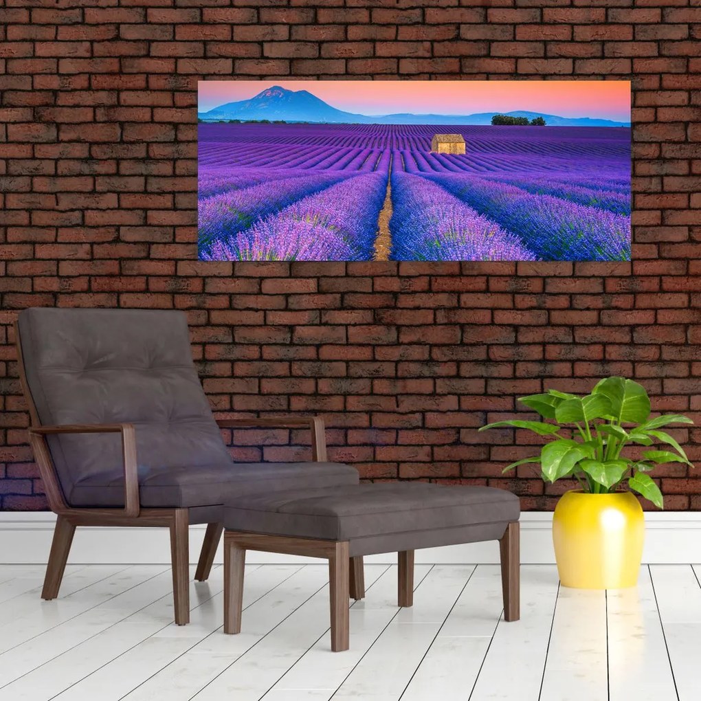 Kép - Levendula mező (120x50 cm)