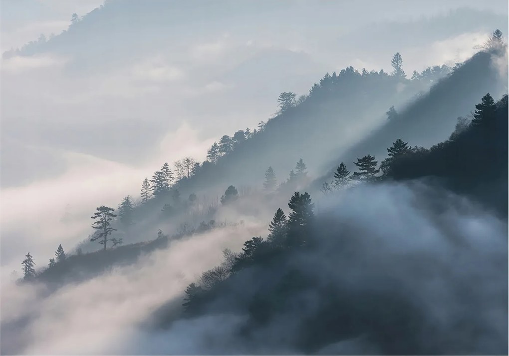 Fotótapéta Flizelina Nappali és Hálószoba Irodába Ködös tájkép 208x146 Ragasztó