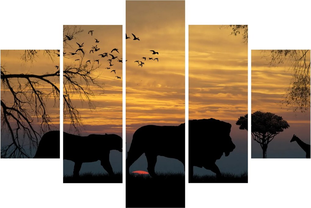 Safari képe (150x105 cm)