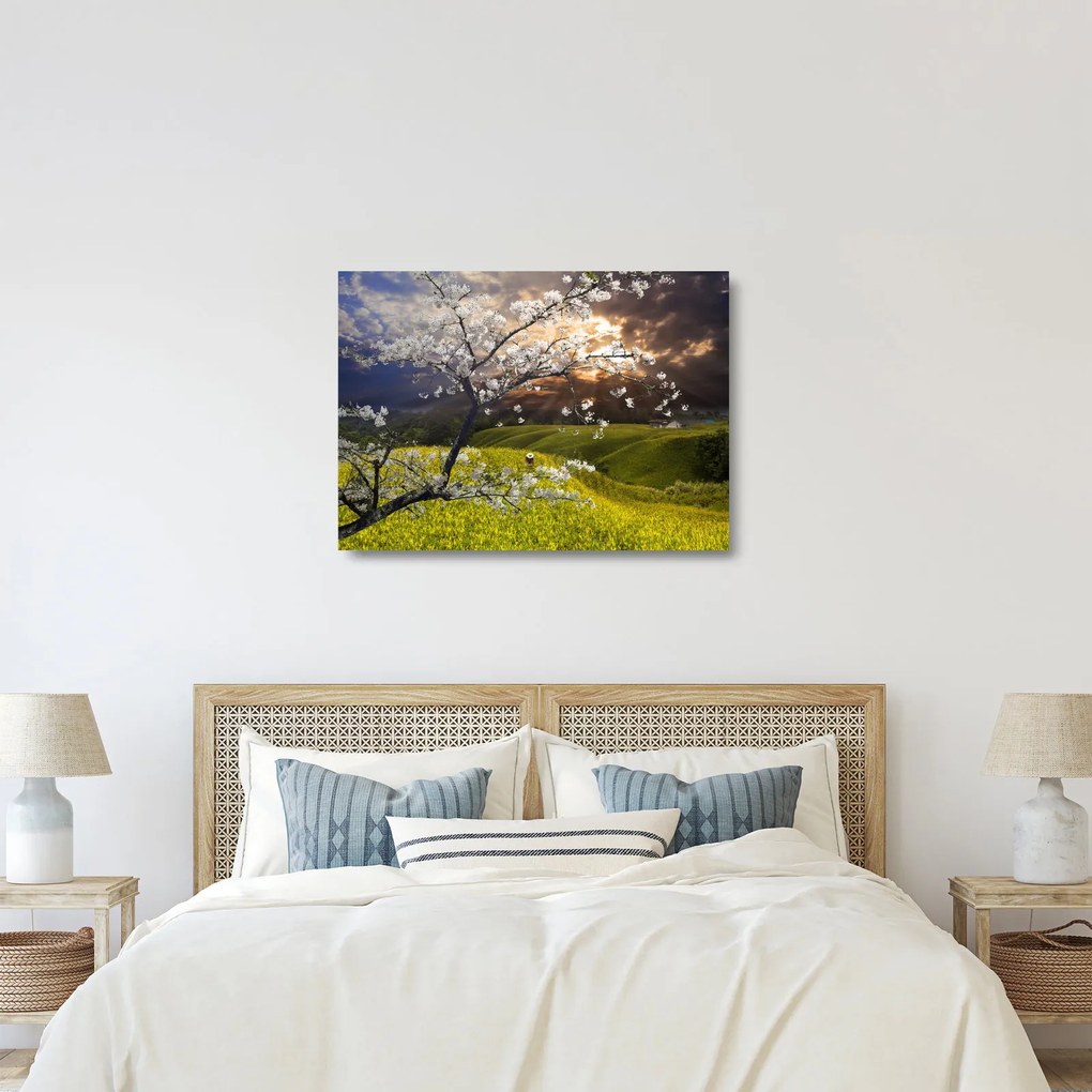 Kép - Virágzó fa az országban (üvegen) (70x50 cm)