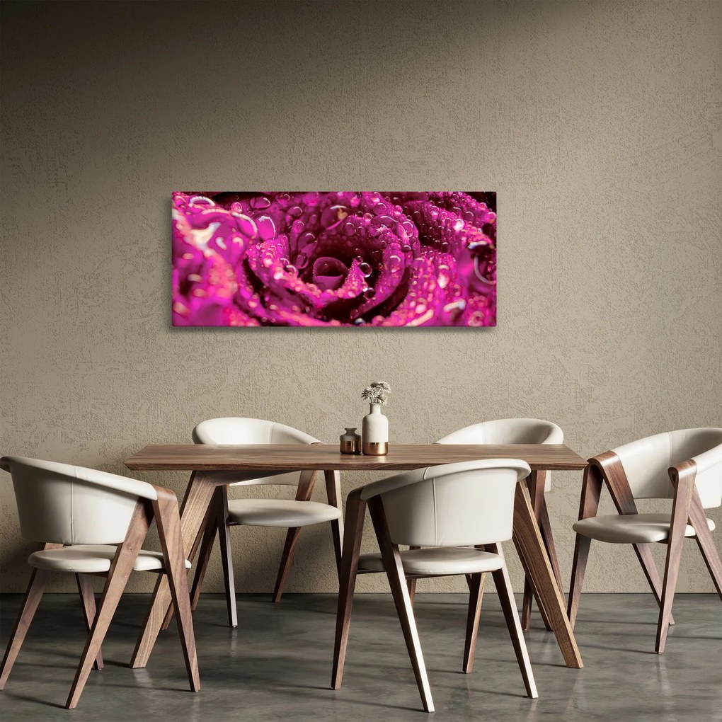 Rózsaszín rózsa virágzata képe (120x50 cm)