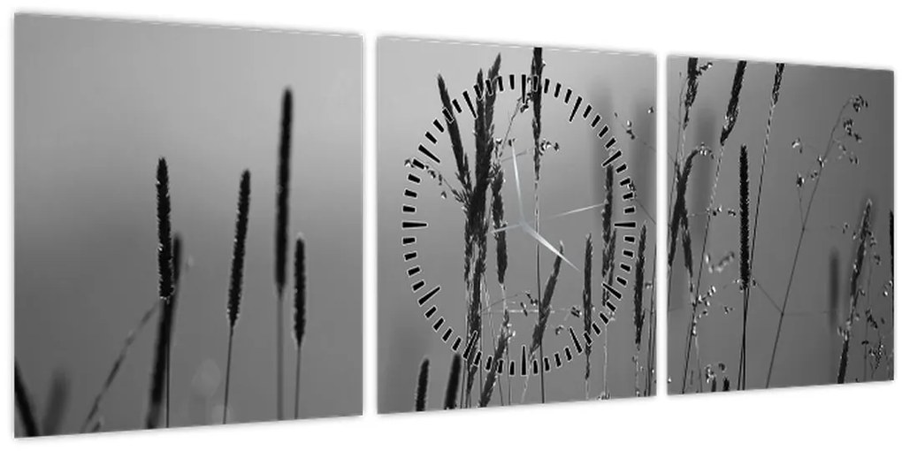 Kép - Fűszálak (órával) (90x30 cm)