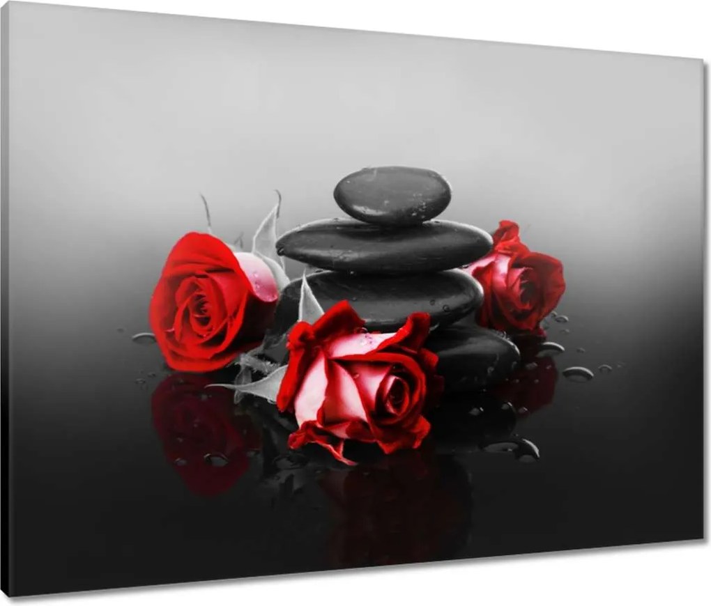 Vászonkép 80x60 Vörös rózsák Spa