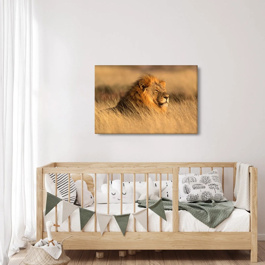 Kép - Etosha Nemzeti Park (90x60 cm)