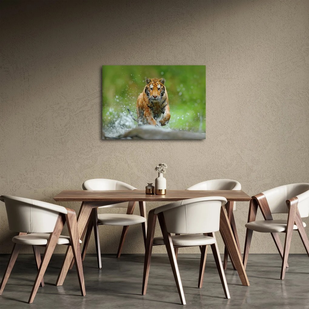 Kép - Futó tigris (70x50 cm)