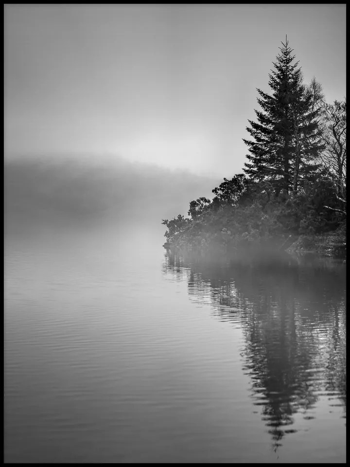 Fa tó tükröződés poszter fekete-fehér 30x40cm