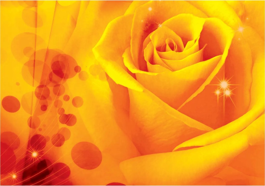 Flizelin fotótapéta Sárga rózsa finomság minden sziromban 416x254 +ragasztó