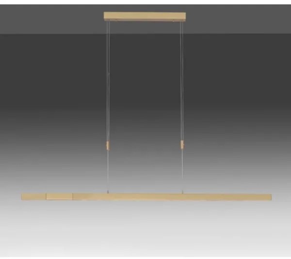 Paul Neuhaus 2568-60 - LED dimmelhető csillár zsinóron ADRIANA LED/14W/230V réz