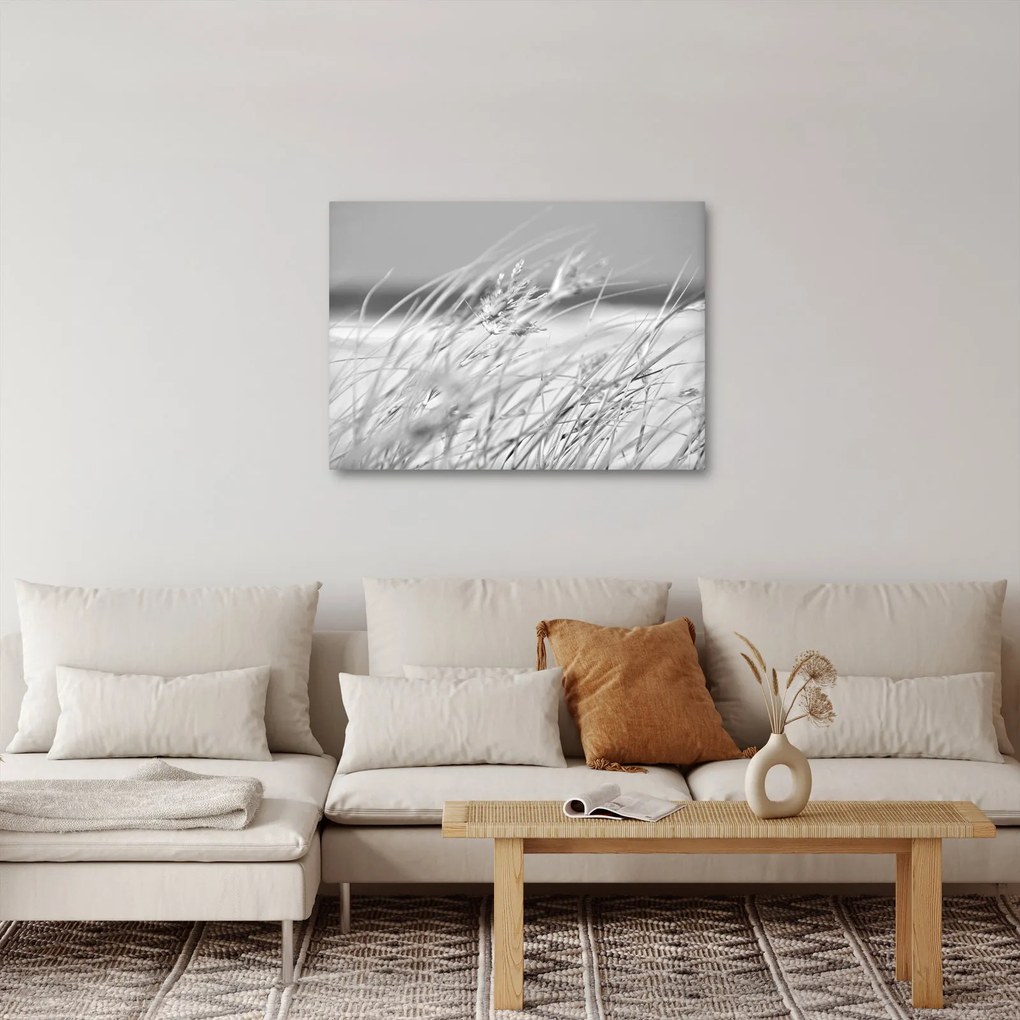 Kép - Strandfű (70x50 cm)