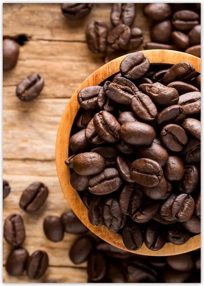 Poszterek A4 Pion Kávébab Kávé