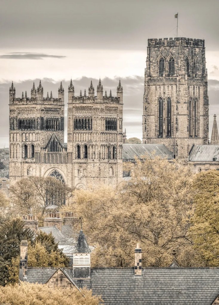 Poszter 39,5x55cm Kilátás a Durham-i székesegyházra és iskolára, Assaf Frank