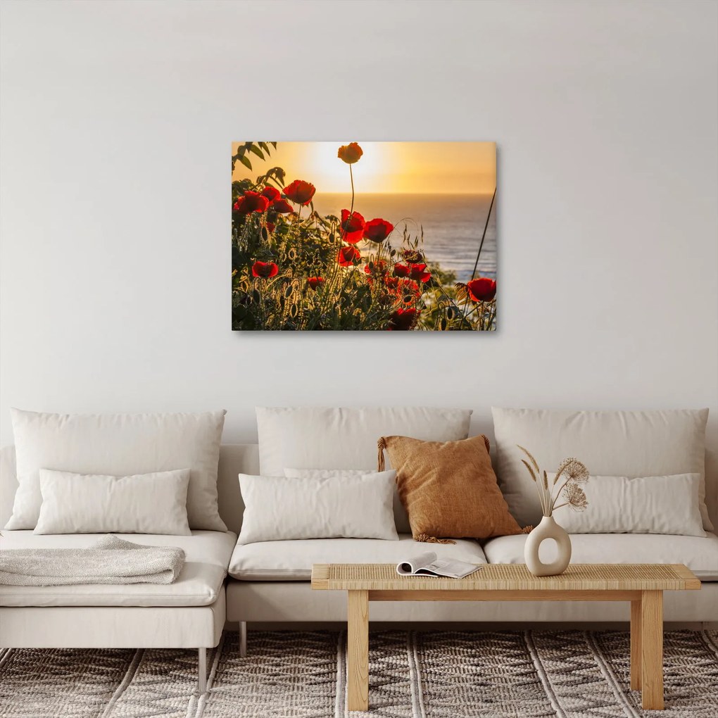 Naplemente és a pipacsok képe (70x50 cm)