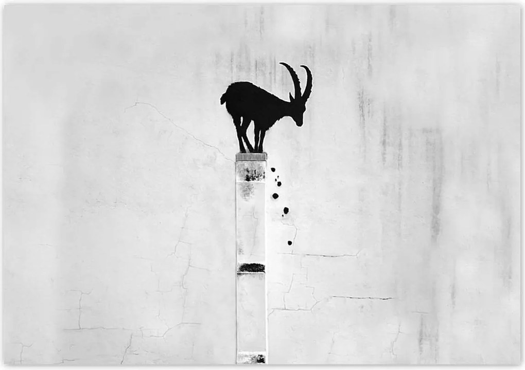 Fotótapéták 416x290 Kozica Banksy Gazella hegyi Nincs magánélet Falfestmény