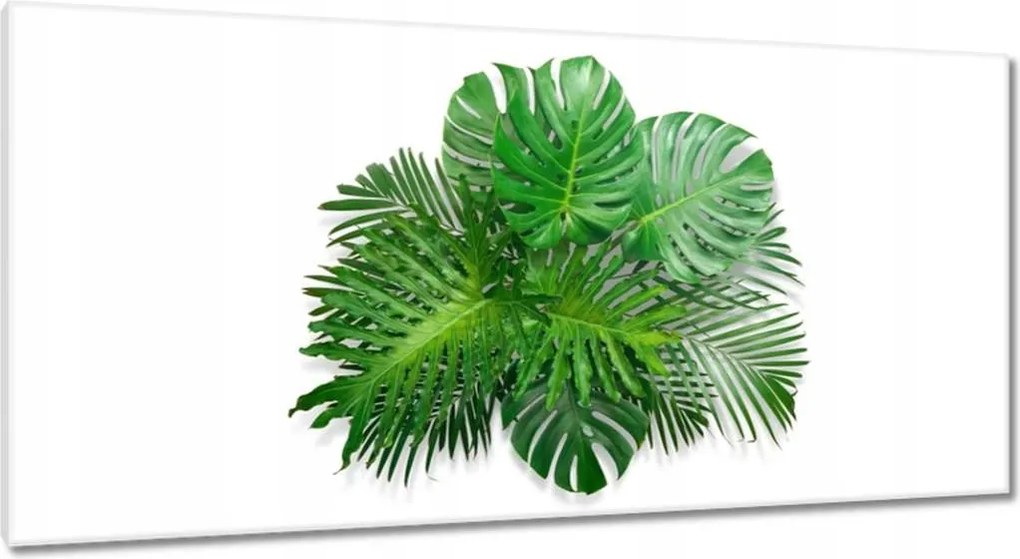 Vászonkép 115x55 Monstera Lyukas levelek