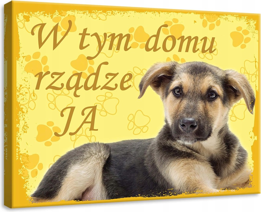 Vászonkép 70x50 Kiskutya kutyus aranyos kis kedvenc öröm hangulatos mancsok sárga