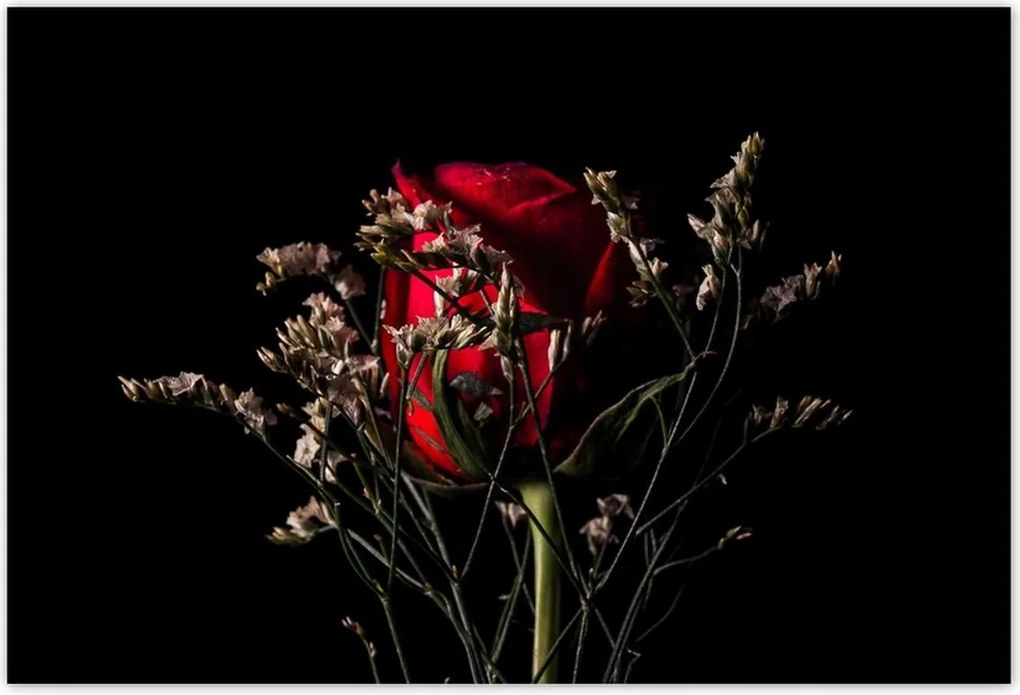 Poszterek 185x125 Rózsa Virág Virágok Rózsa